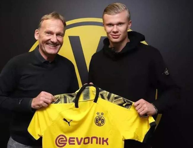 直指世界赛 直指世界赛