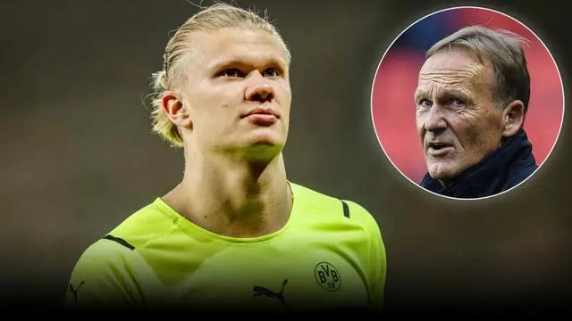 主动表态 主动表态